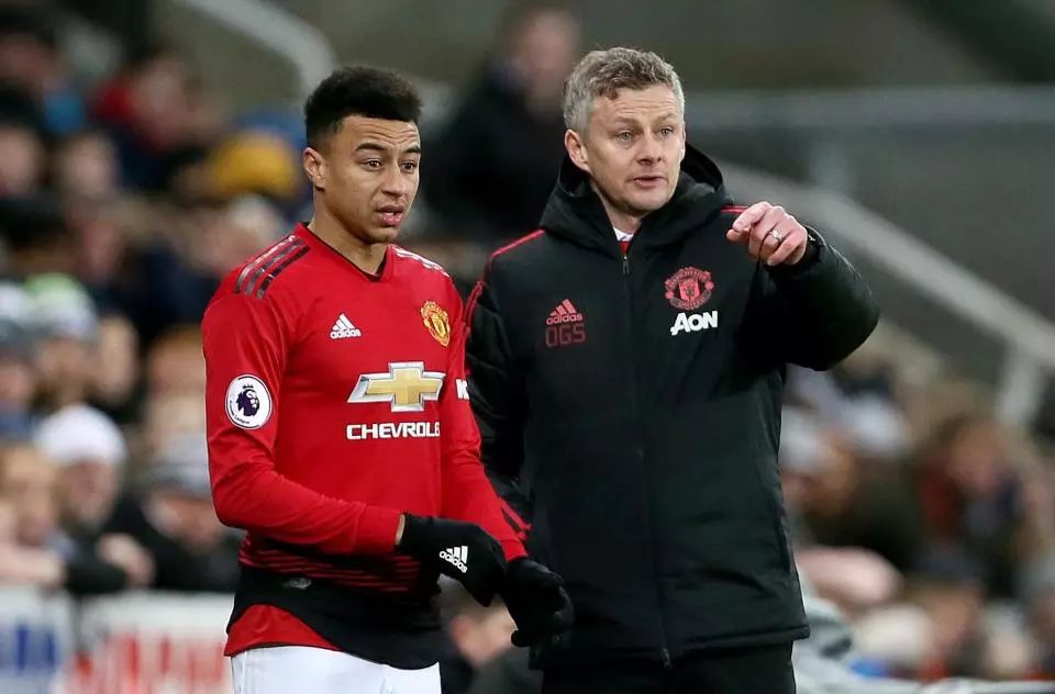 王岚嵚贡献 王岚嵚贡献